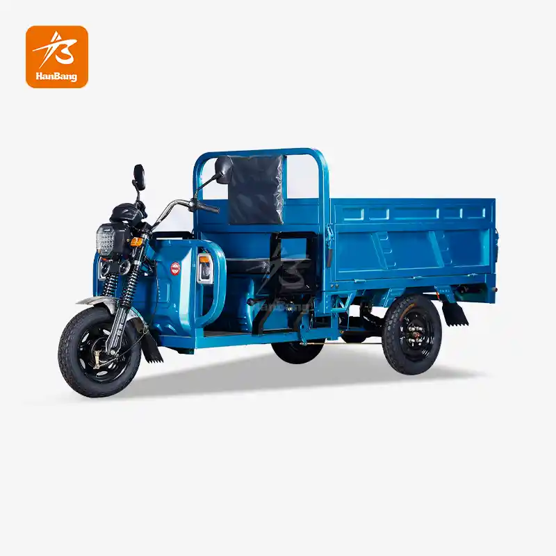 High Quality Trike Cargo Electric Tricycle